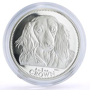 Gibraltar 1 crown Home Pets Dachshund Dog Animals proof silver coin 1993