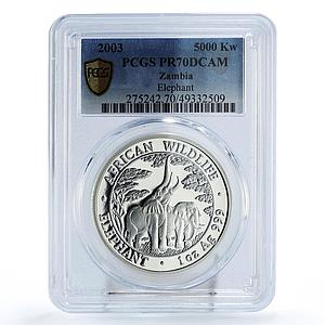 Zambia 5000 kwacha African Wildlife Elephant Fauna PR70 PCGS silver coin 2003
