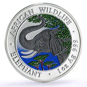 Somalia 1000 shillings African Wildlife Elephant Fauna colored silver coin 2005