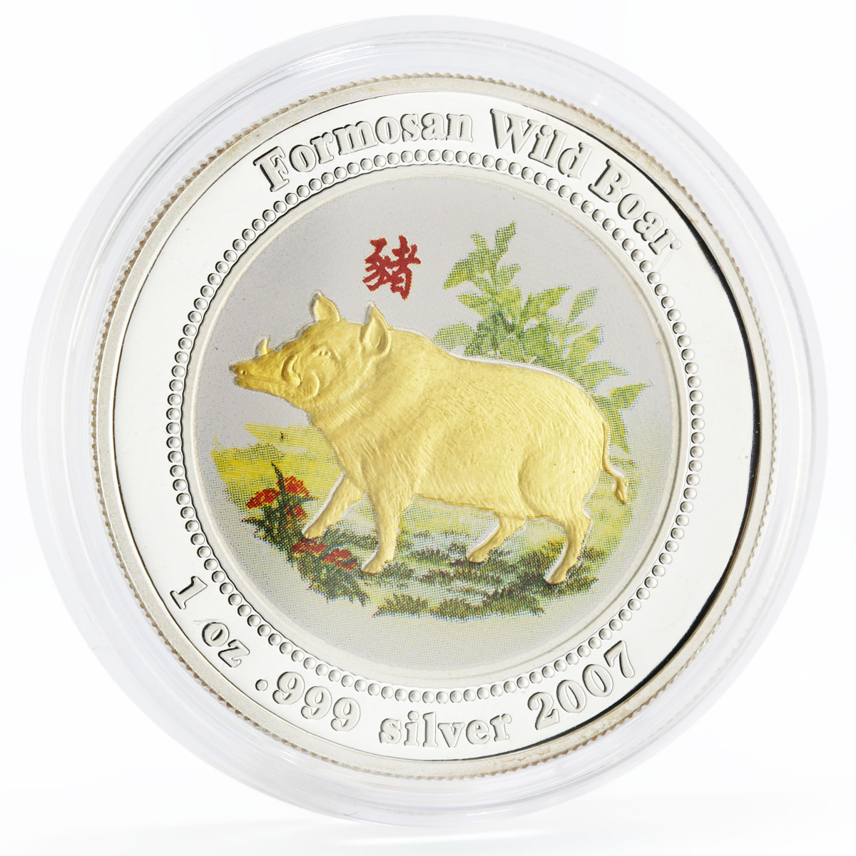 Fiji 2 dollars Year of the Pig series Formosan Wild Boar silver coin 2007