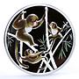 Tokelau 2 dollars Year of the Monkey Bamboo Forest colored silver coin 2016