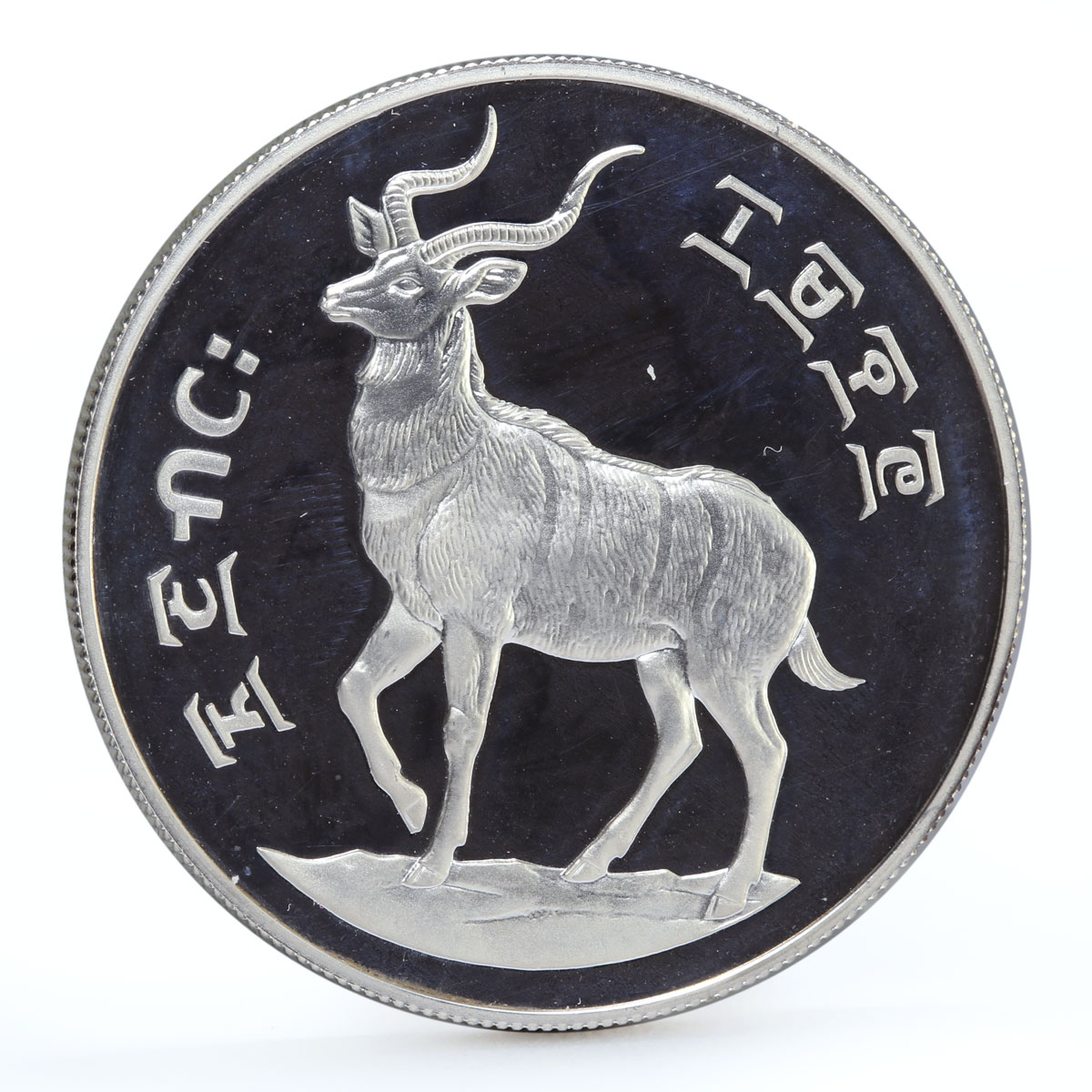 Ethiopia 25 birr Wildlife Mountain Nyala Fauna proof silver coin 1970 1978