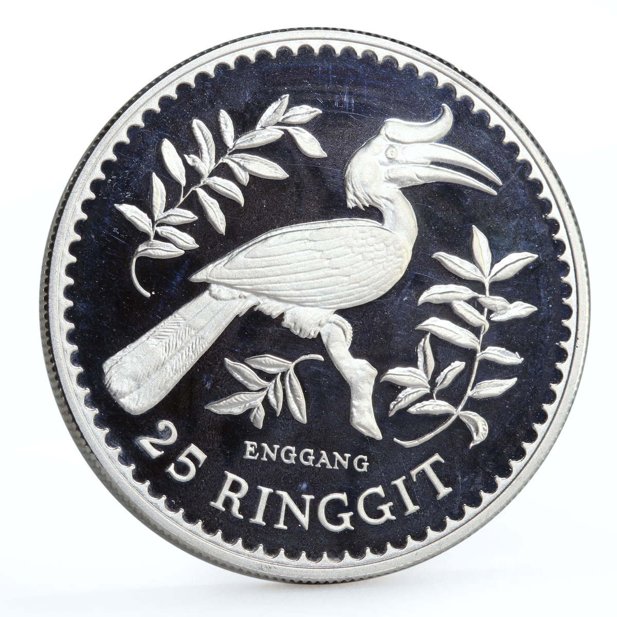 Malaysia 25 ringgit Conservation Hornbill Bird silver coin 1976