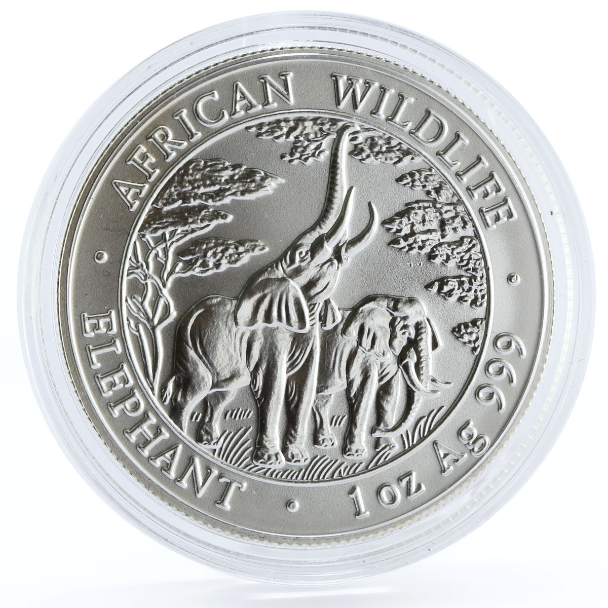 Zambia 5000 kwacha African Wildlife series Elephant silver coin 2003