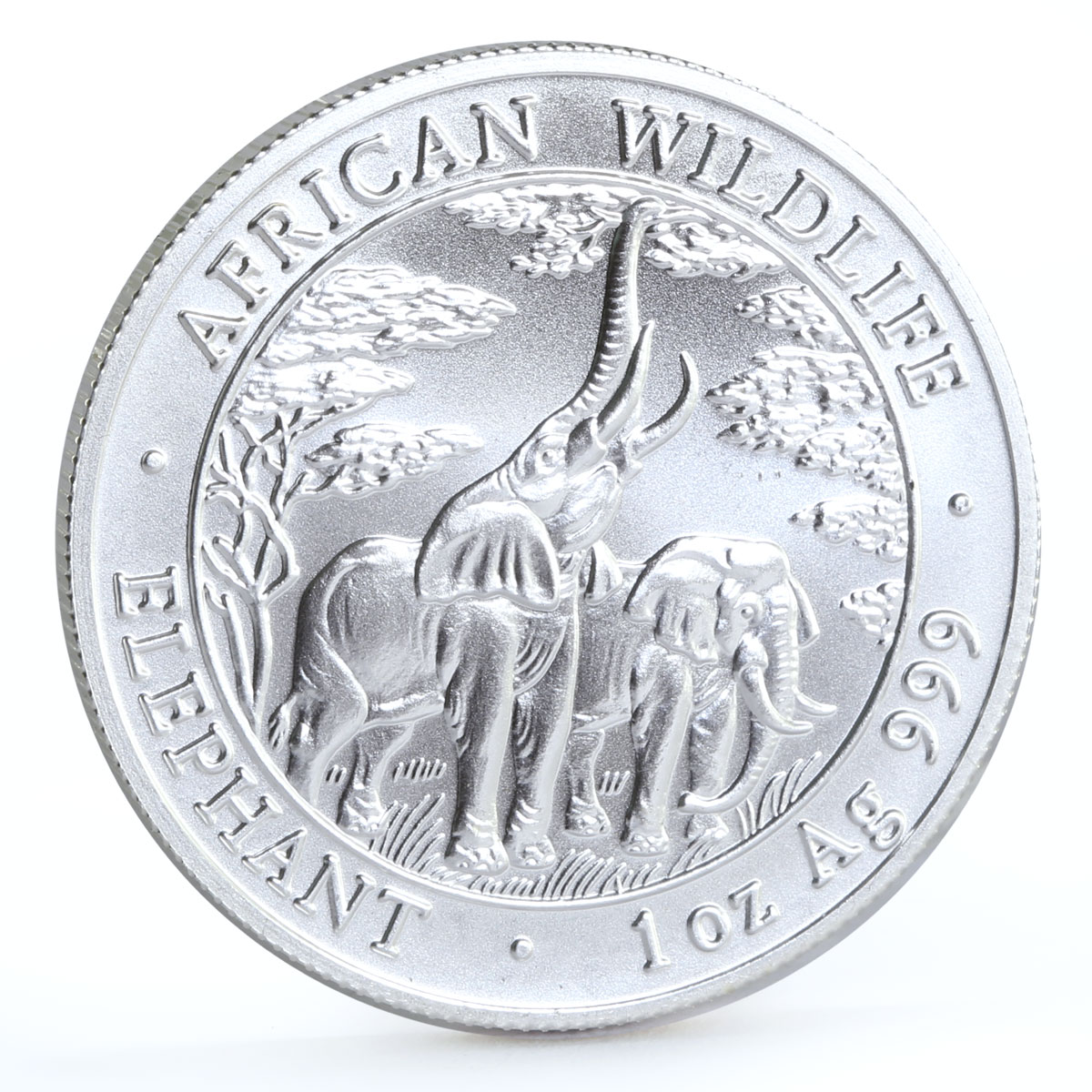 Zambia 5000 kwacha African Wildlife series Elephant silver coin 2003