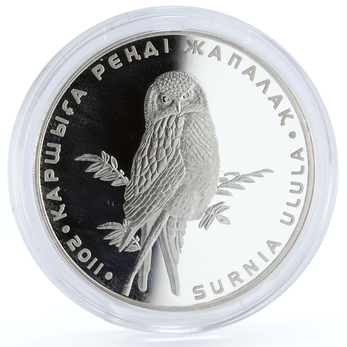 Kazakhstan 500 tenge Endangered Wildlife Hawk Owl Bird Fauna silver coin 2011