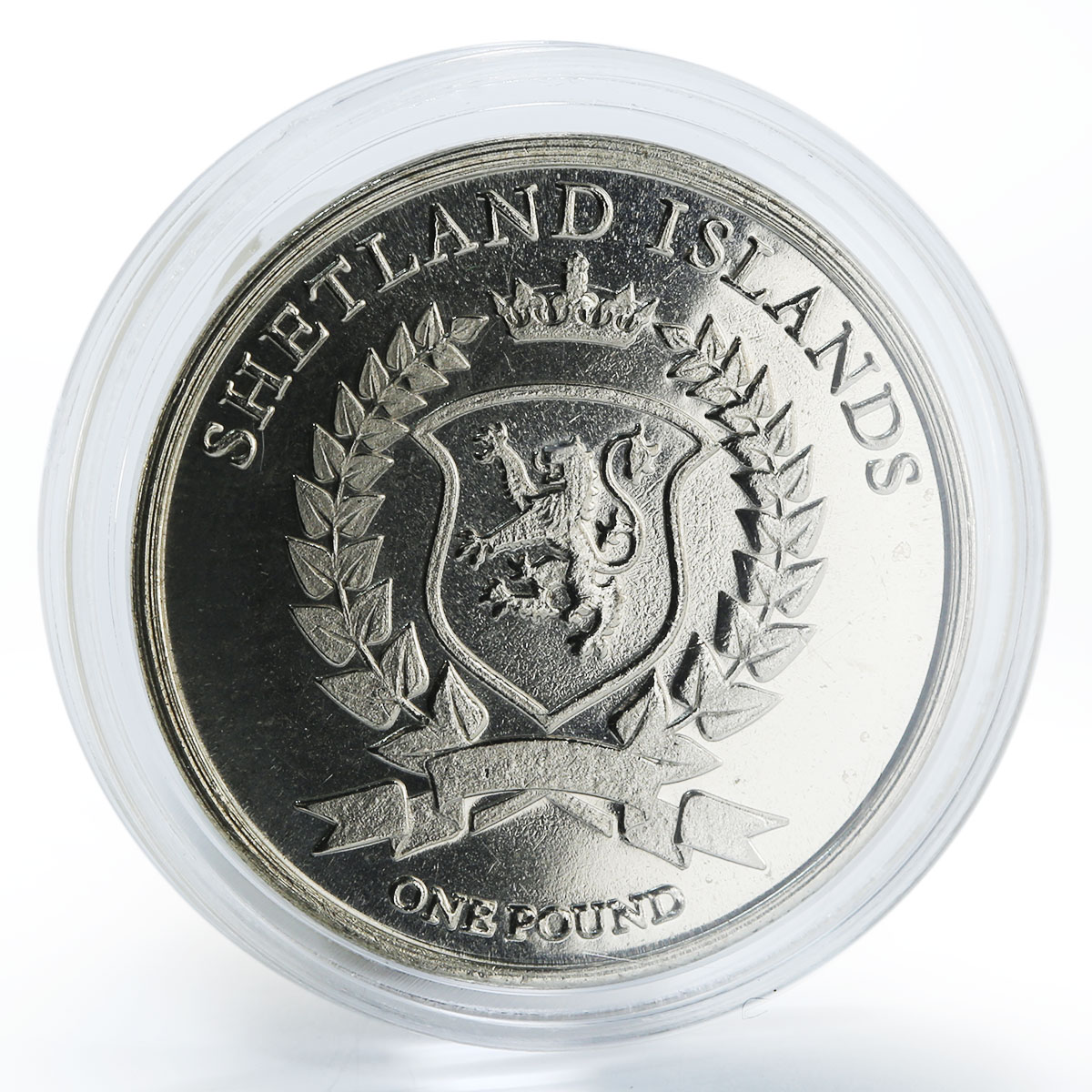 Shetland Islands 1 pound Stercorarius Parasiticus Arctic Skua Bird Fauna 2016