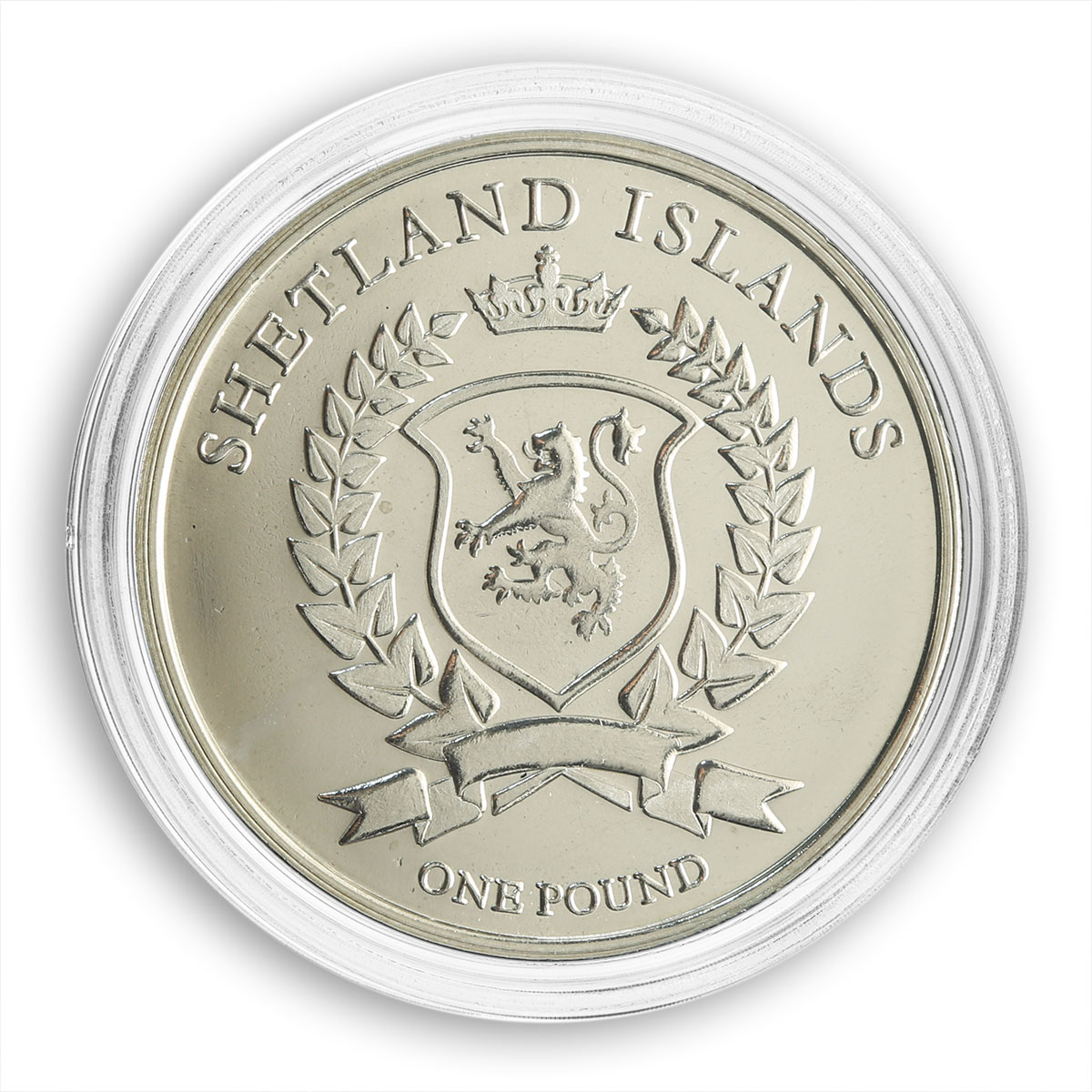 Shetland Islands, 1 pound, Halcyon Capensis, bird, fauna, nature, coin, 2015
