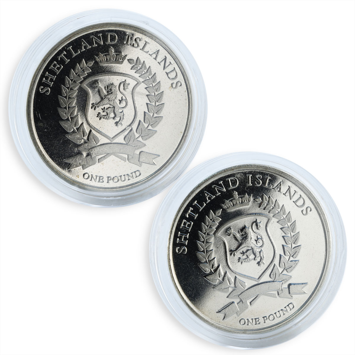 Shetland Islands, 1 pound, set of 2 coins, Stercorarius parasiticus, 2016