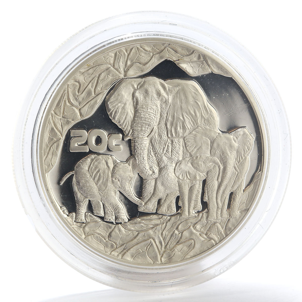 South Africa set of 4 coins 50,20,10,5 Cents Wildlife Elephant silver proof 2002