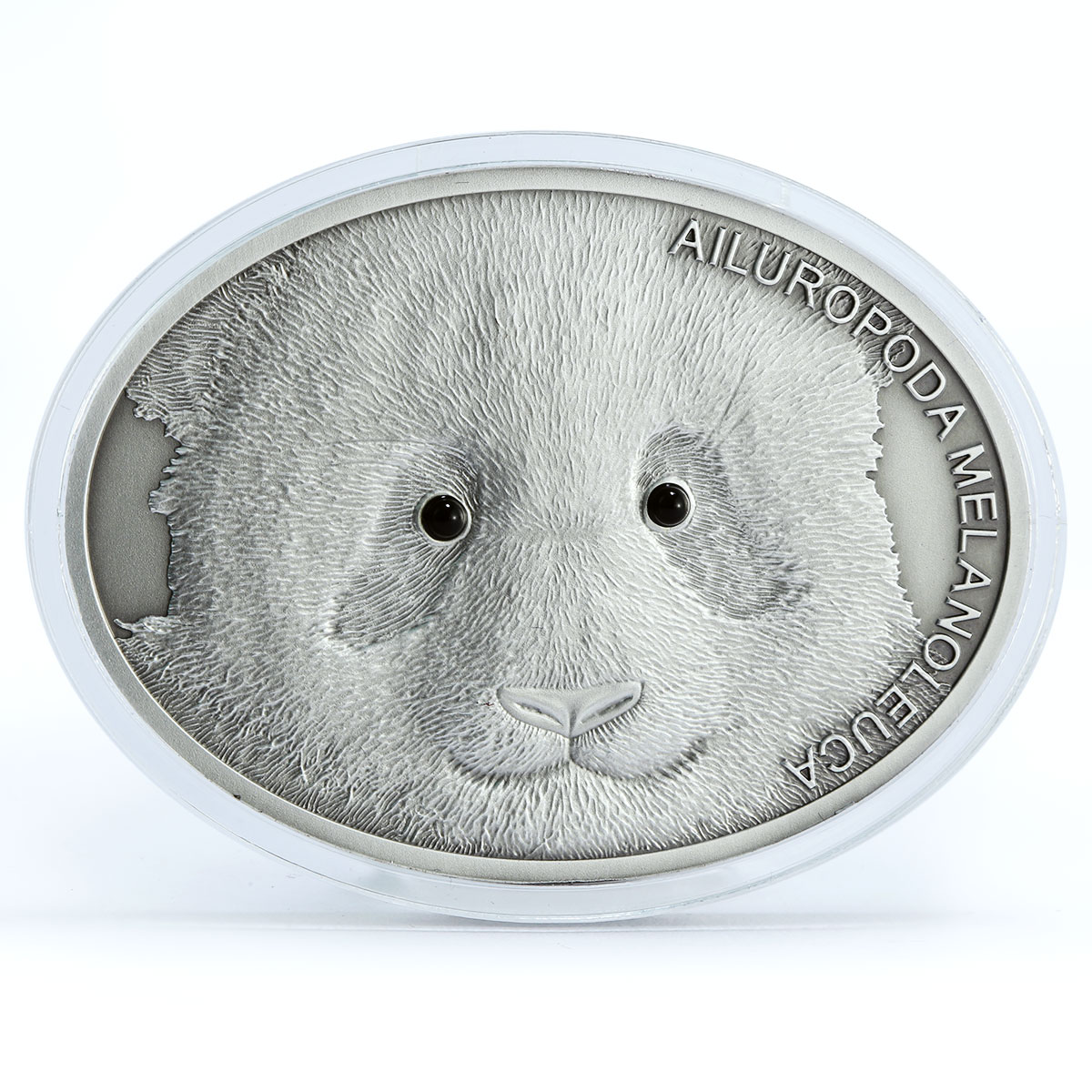 Fiji 10 dollars Endangered Wildlife Giant Panda Bear Fauna silver coin 2013