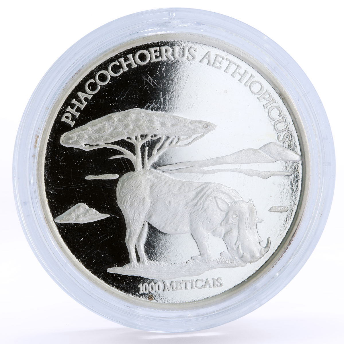 Mozambique 1000 meticais Endangered Wildlife Desert Warthog silver coin 2004