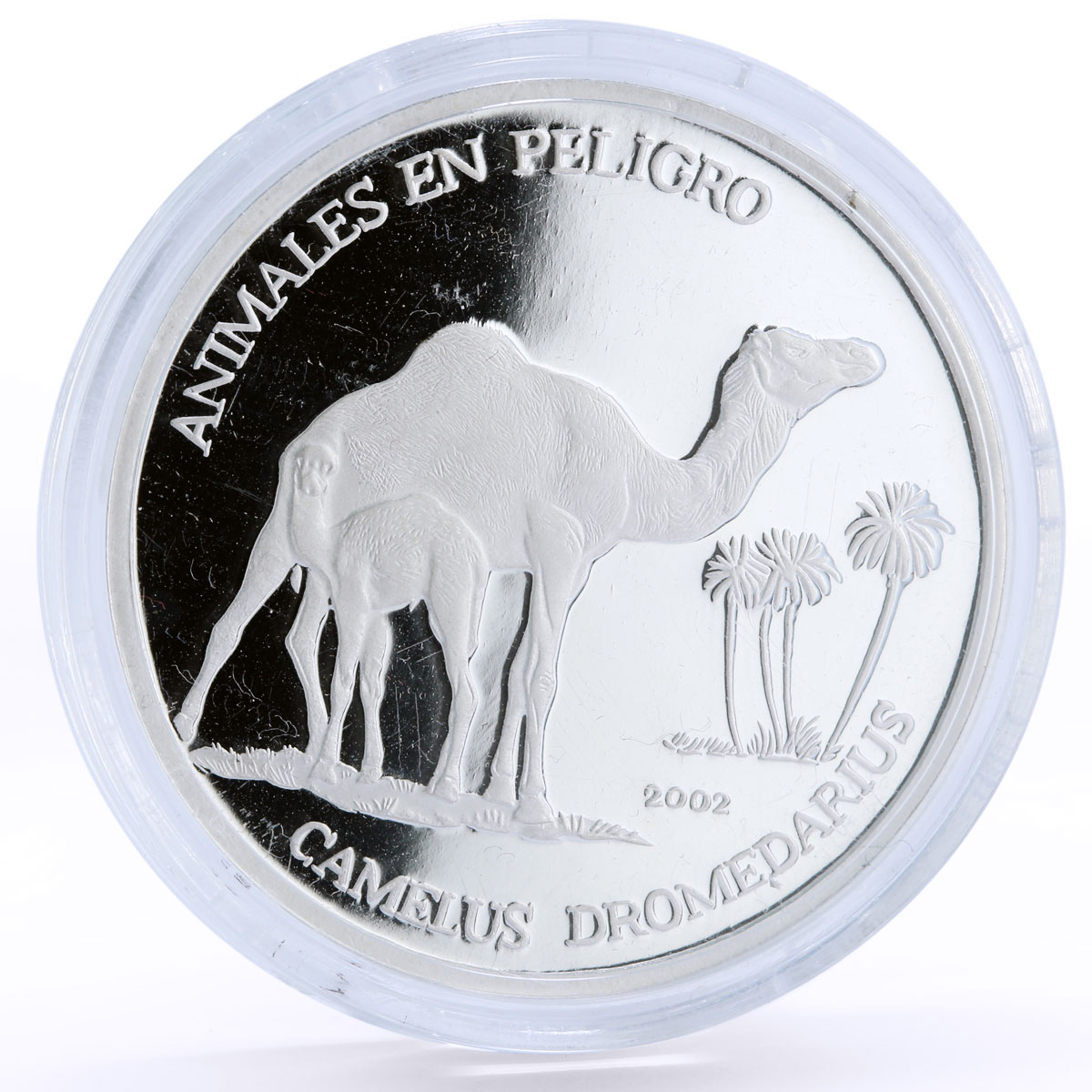 Saharawi 1000 pesetas Dromedary Camel proof silver coin 2002