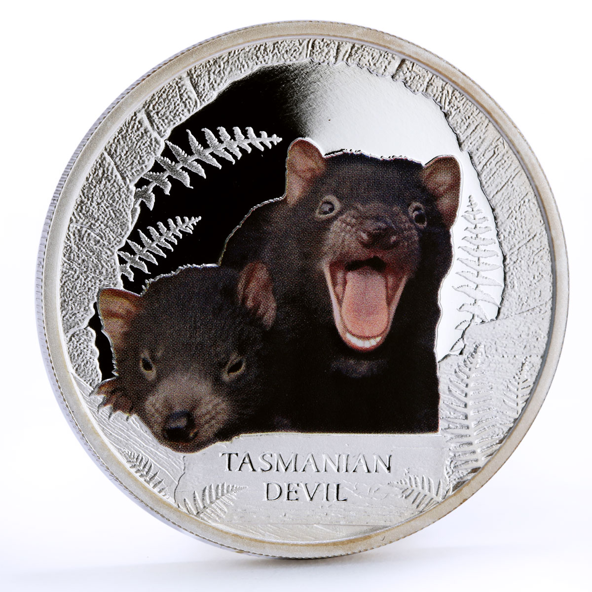 Tuvalu 1 dollar Endangered Wildlife Tasmanian Devil Fauna proof silver coin 2013