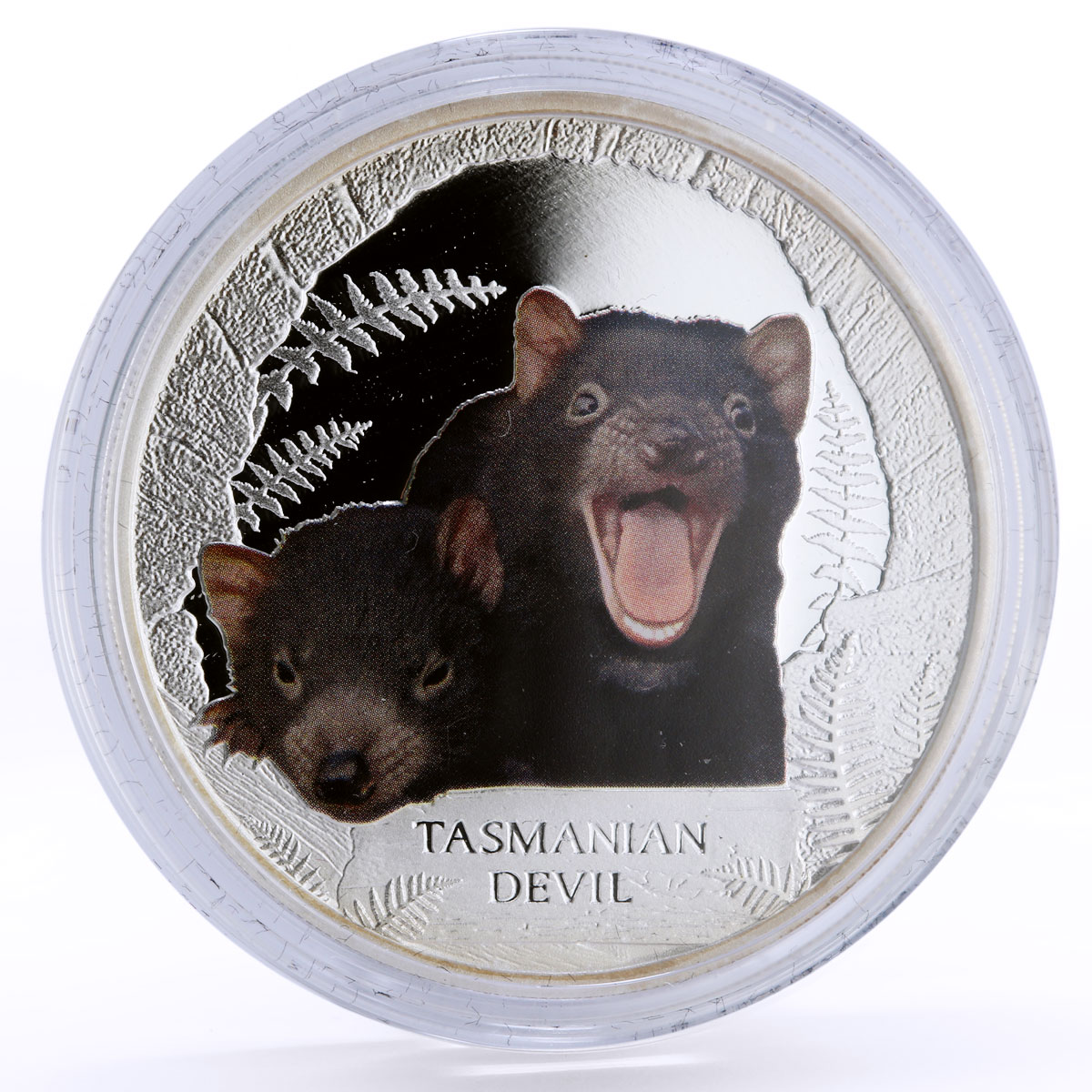 Tuvalu 1 dollar Endangered Wildlife Tasmanian Devil Fauna proof silver coin 2013