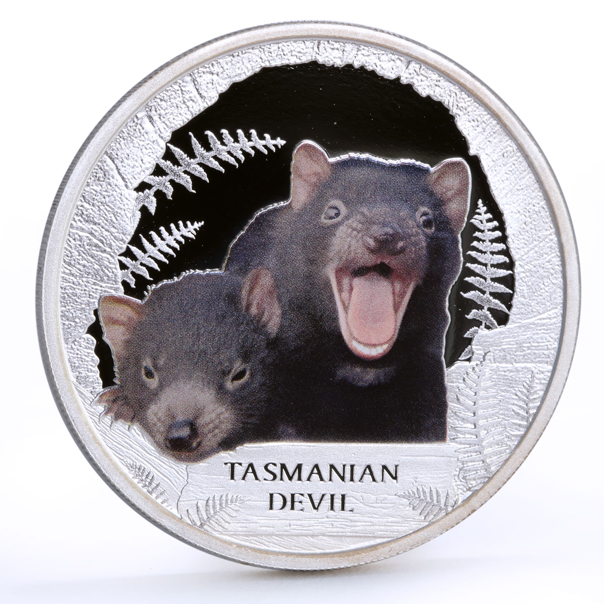 Tuvalu 1 dollar Endangered Wildlife Tasmanian Devil Fauna proof silver coin 2013