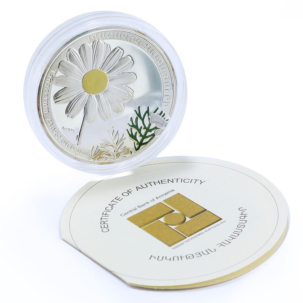 Armenia 1000 dram Beauty of Flowers Chamomile Flora colored silver coin 2010