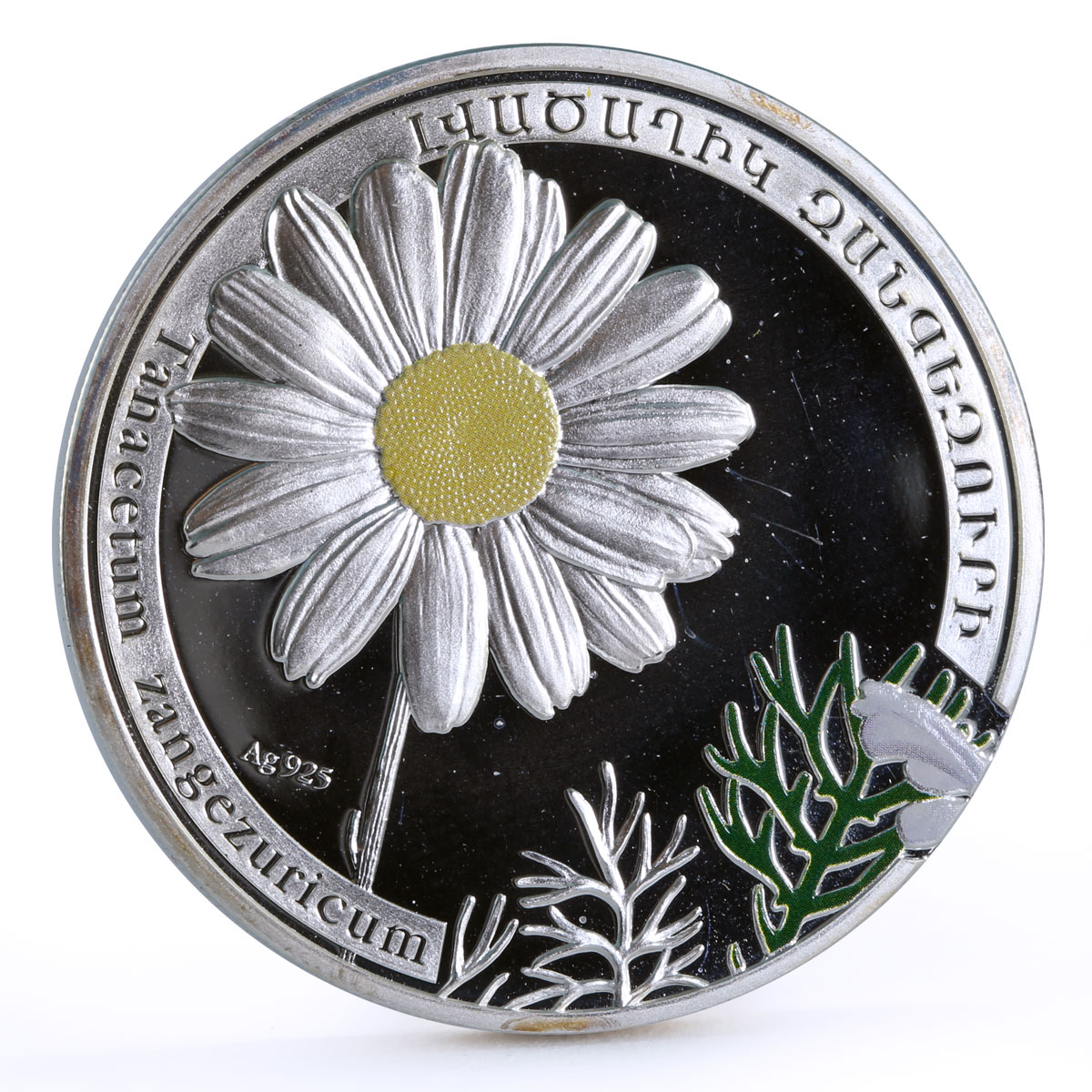 Armenia 1000 dram Beauty of Flowers Chamomile Flora colored silver coin 2010