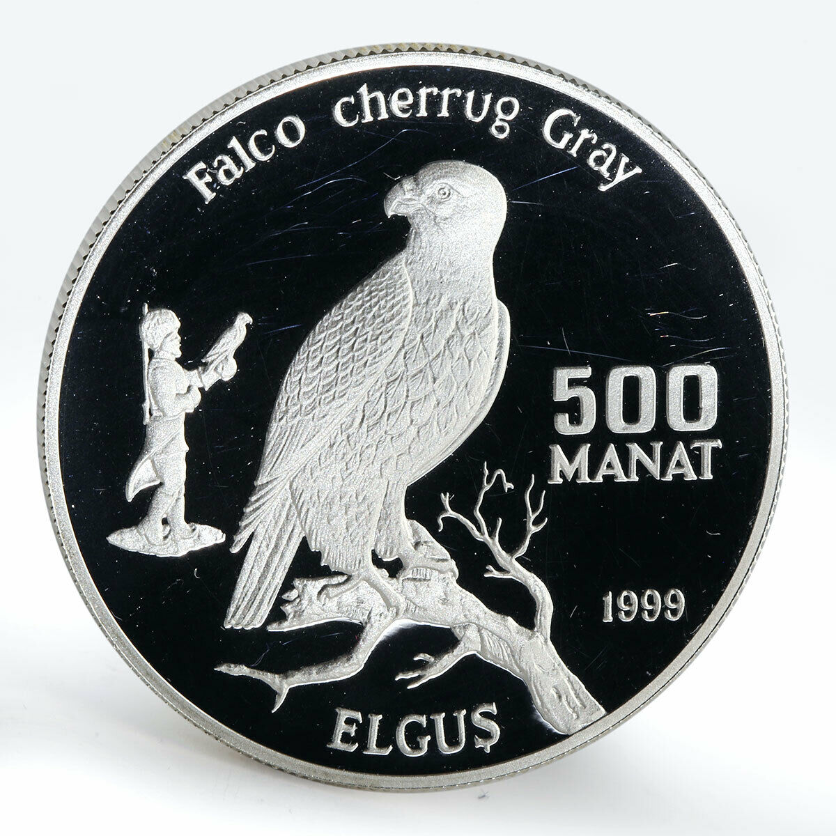 Turkmenistan 500 manat Falco cherrug Gray fauna silver coin 1999