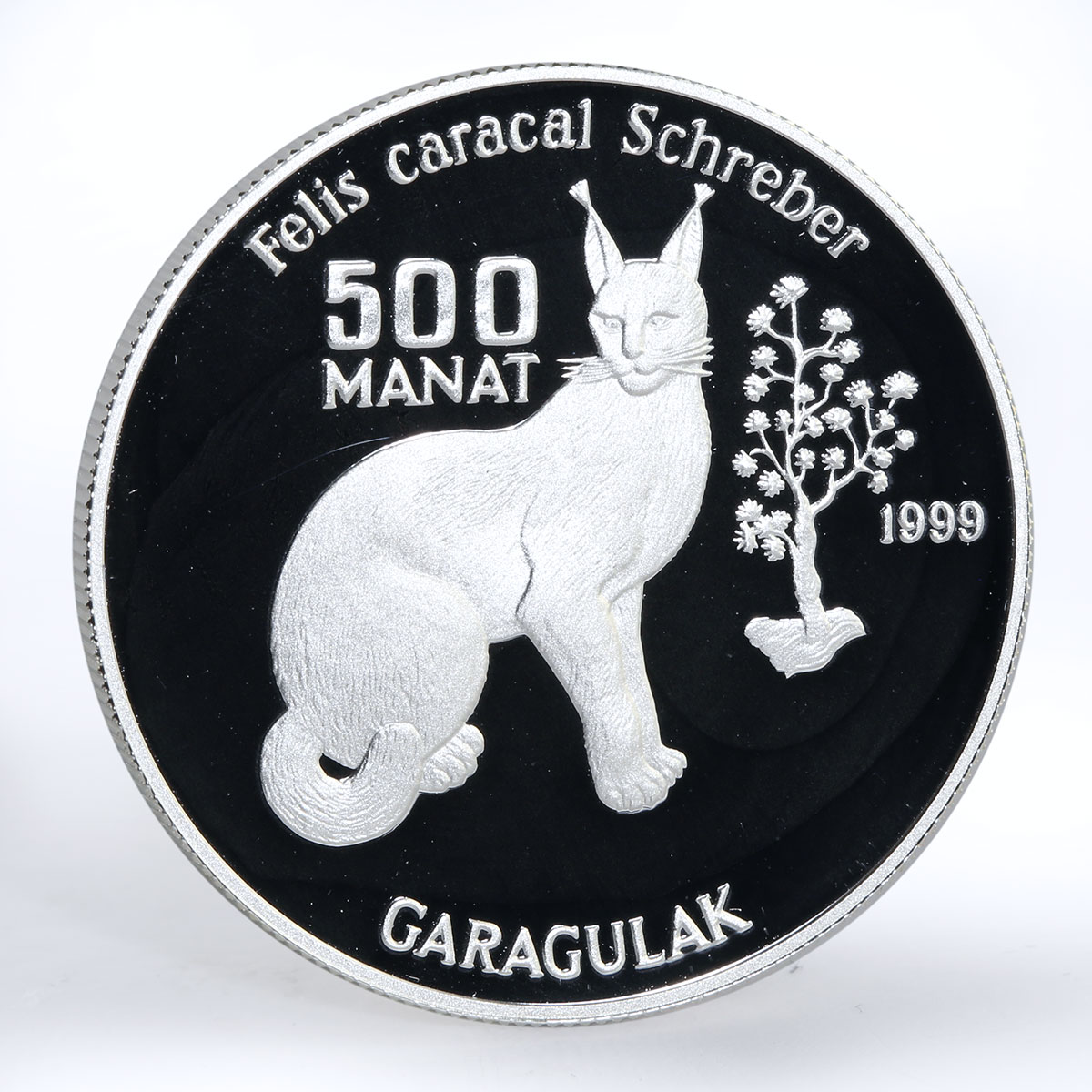 Turkmenistan 500 manat Red Book Felis caracal silver proof coin 1999