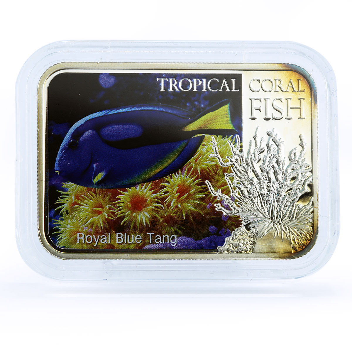 Niue 1 dollar Tropical Coral Fish Royal Blue Tang Fauna colored silver coin 2013