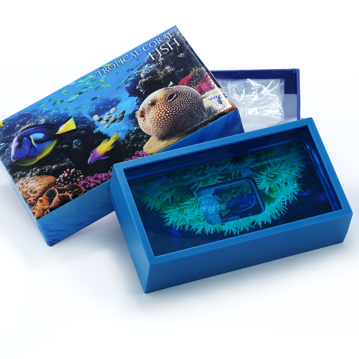 Niue 1 dollar Tropical Coral Fish Royal Blue Tang Fauna colored silver coin 2013