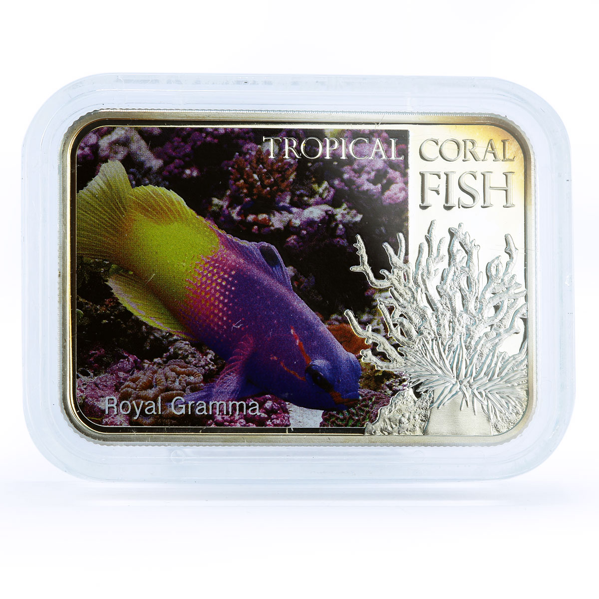 Niue 1 dollar Tropical Coral Fish Royal Gramma Fauna colored silver coin 2013