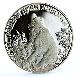Bulgaria 25 leva Endangered Wildlife Bears Forest proof silver coin 1989