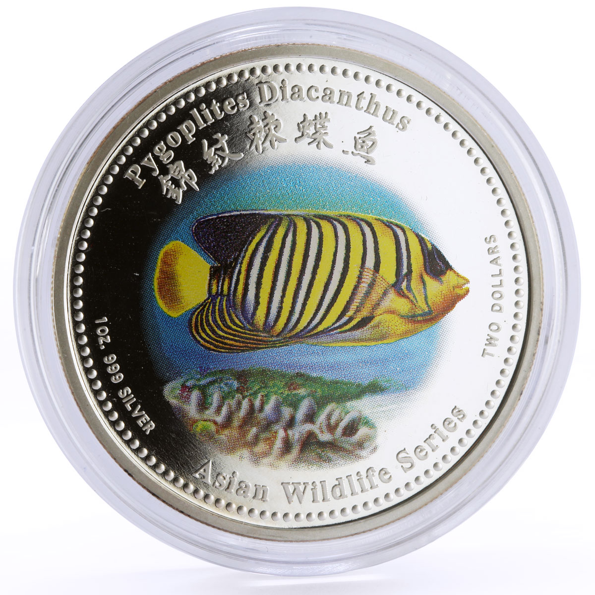 Cook Islands 2 dollars Marine Life Regal Angelfish colored silver coin 2002