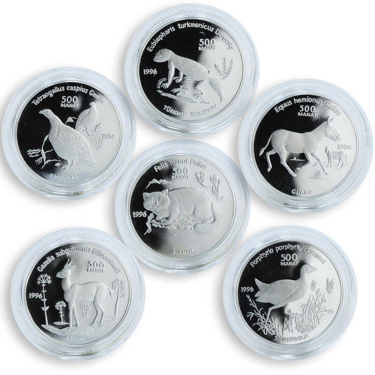 Turkmenistan set of 6 coins 500 manat Endangered wild animals silver proof 1996