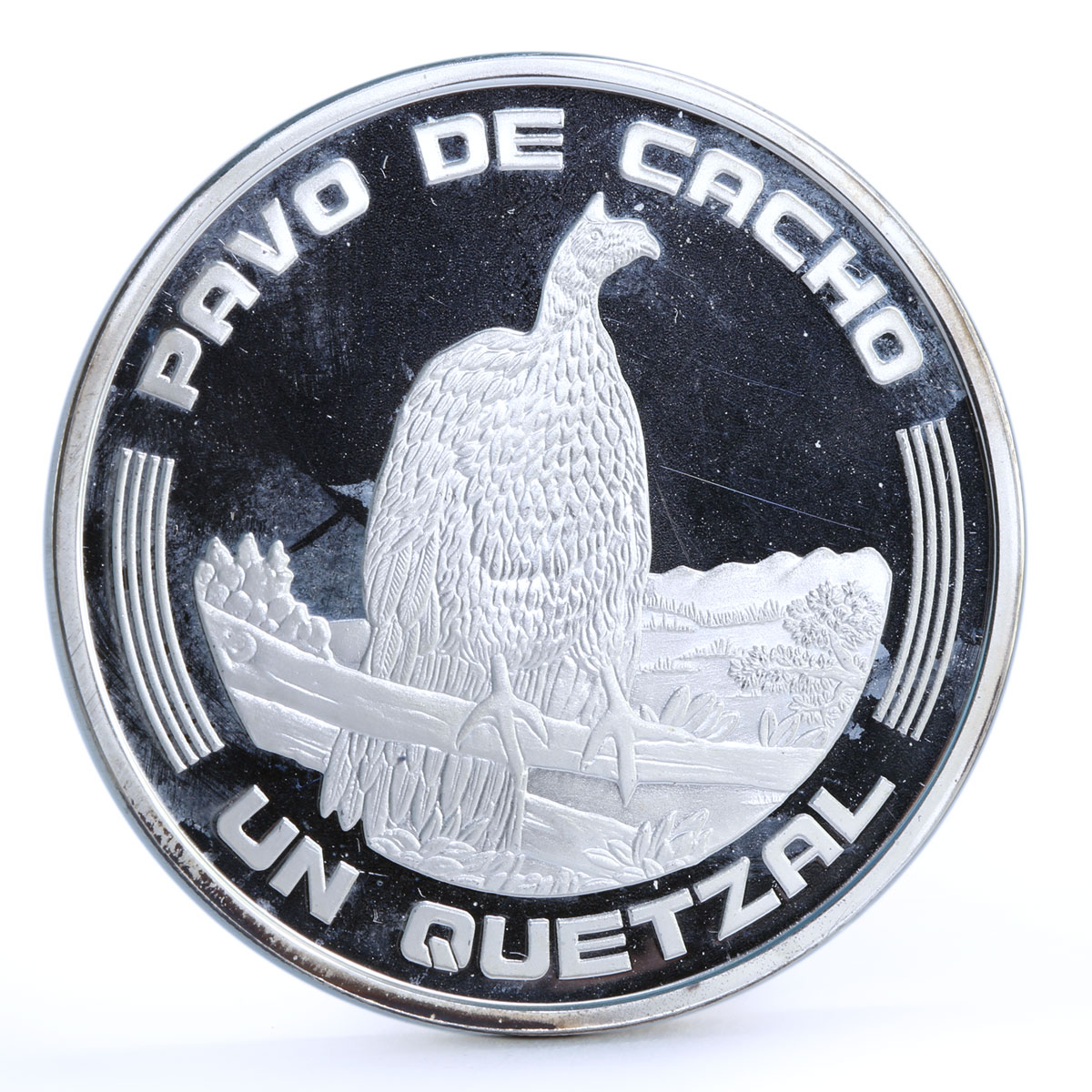 Guatemala 1 quetzal Ibero America Horned Guan Bird Fauna proof silver coin 1994