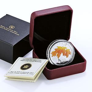 Canada 20 dollars Flora Maple Tree Leaf Raindrop colored proof silver coin 2012