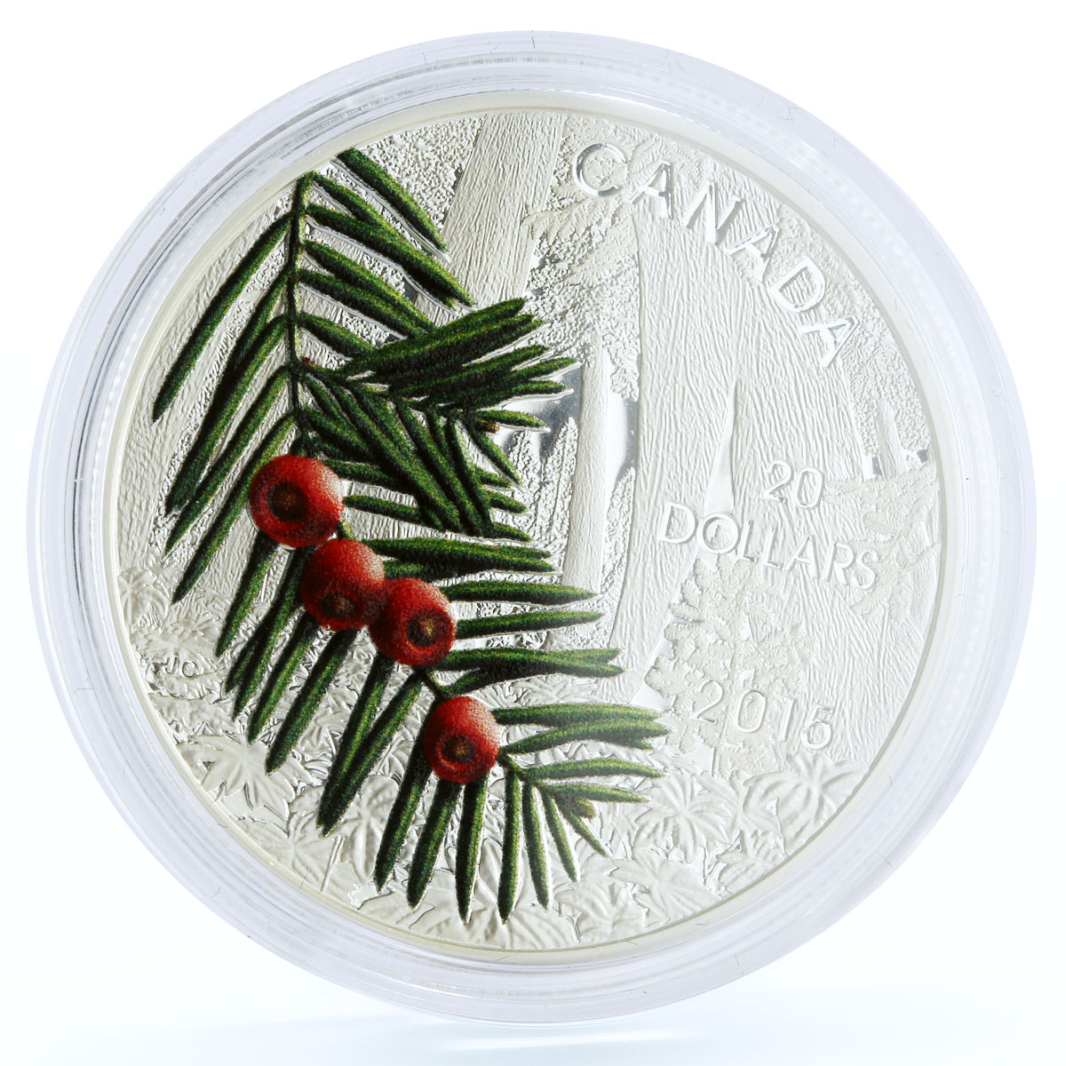 Canada 20 dollars Flora Columbian Yew Tree Branch colored proof silver coin 2015