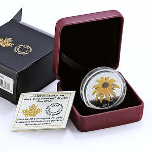Canada 20 dollars Flora Black Eyed Susan Flower colored proof silver coin 2015