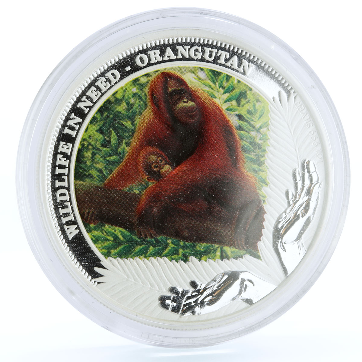 Tuvalu 1 dollar Endangered Wildlife Orangutan Fauna colored silver coin 2011