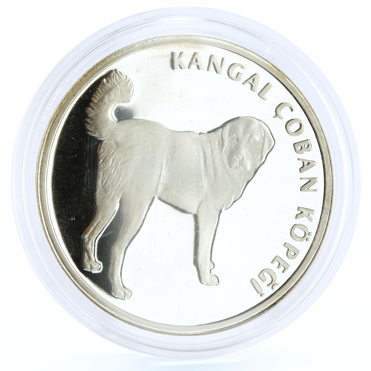 Turkey 20 lira Animal series Kangal Dog proof silver coin 2005