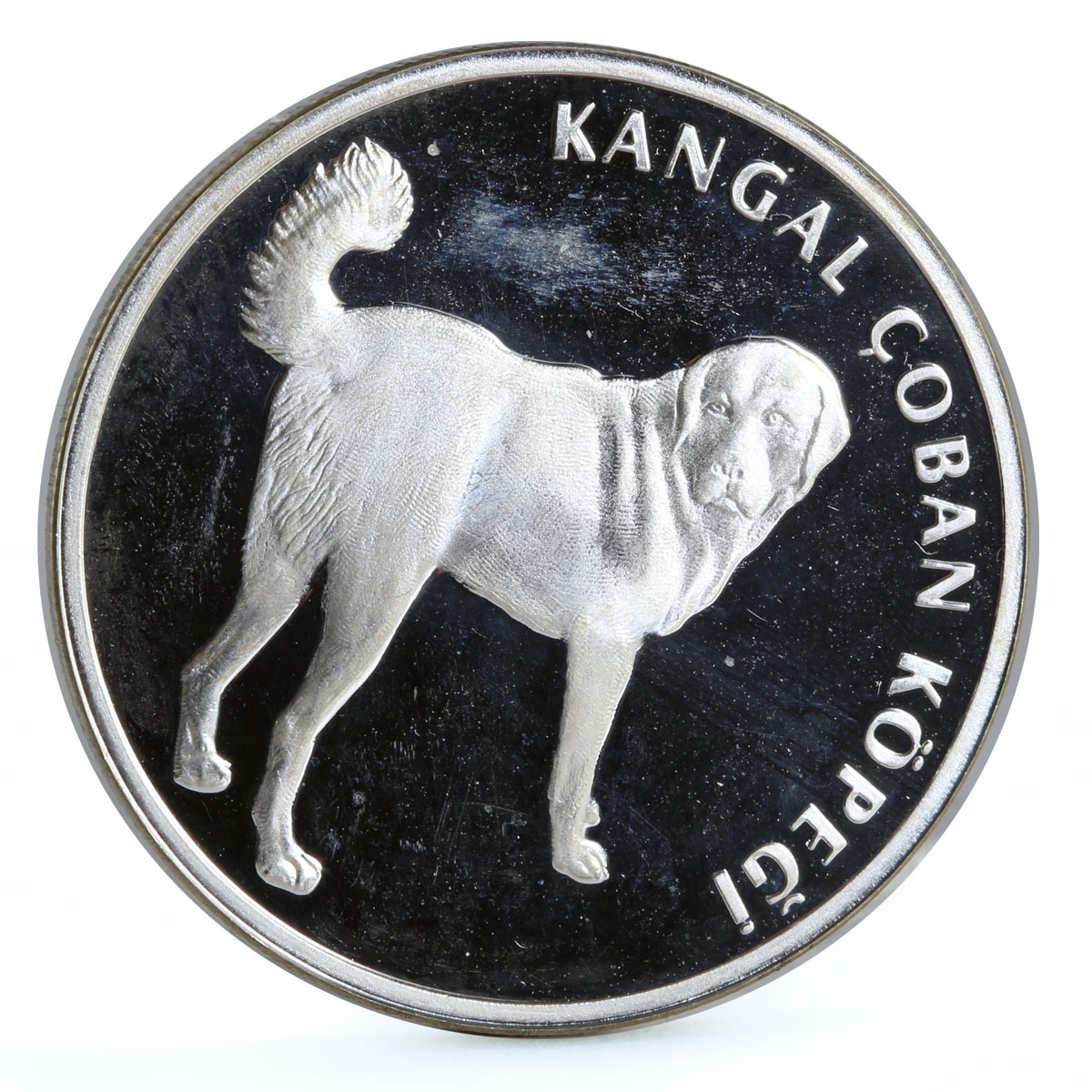 Turkey 20 lira Animal series Kangal Dog proof silver coin 2005