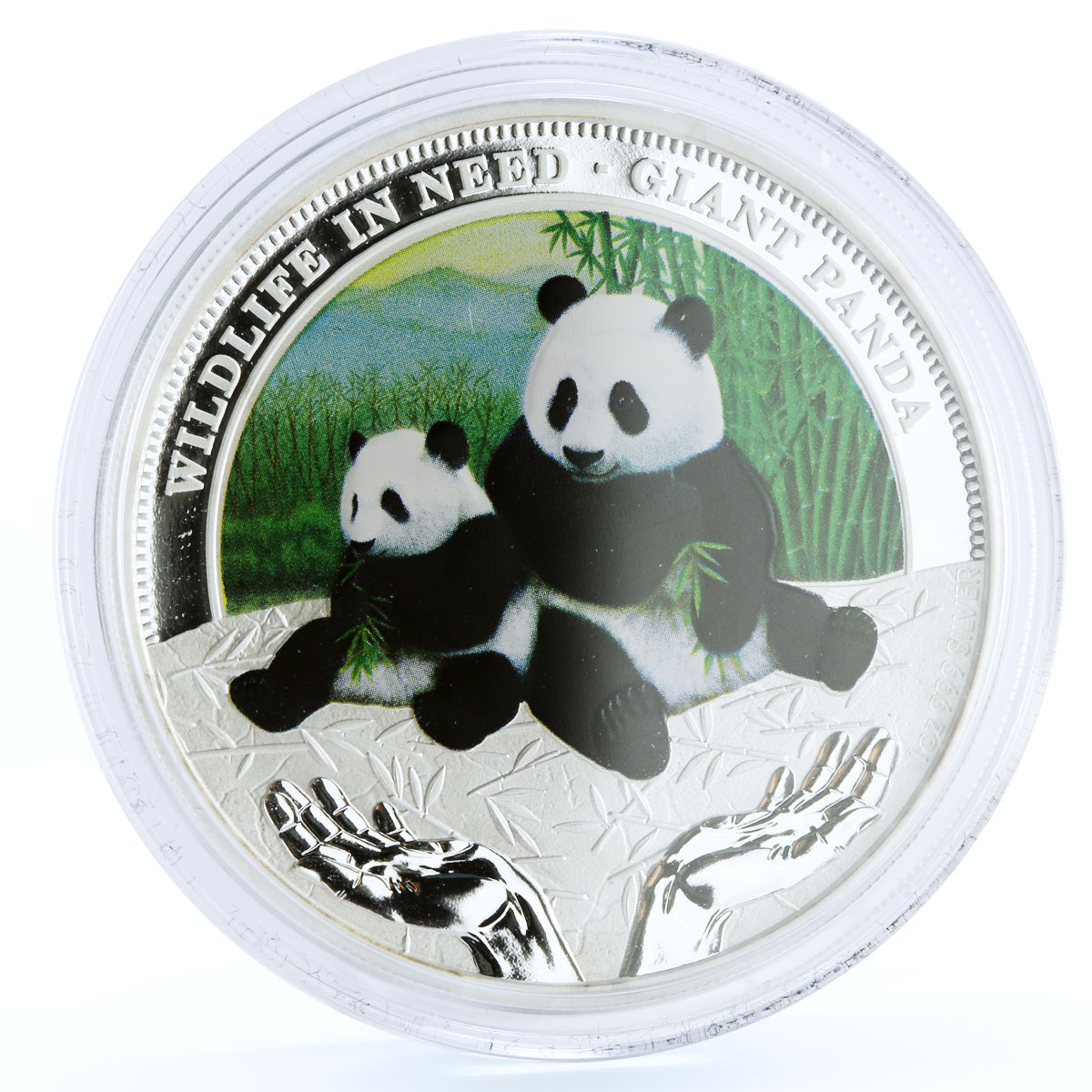 Tuvalu 1 dollar Endangered Wildlife Giant Panda Fauna colored silver coin 2011