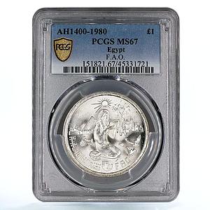 Egypt 1 pound FAO Woman Reading Two Birds Tractor MS67 PCGS silver coin 1980