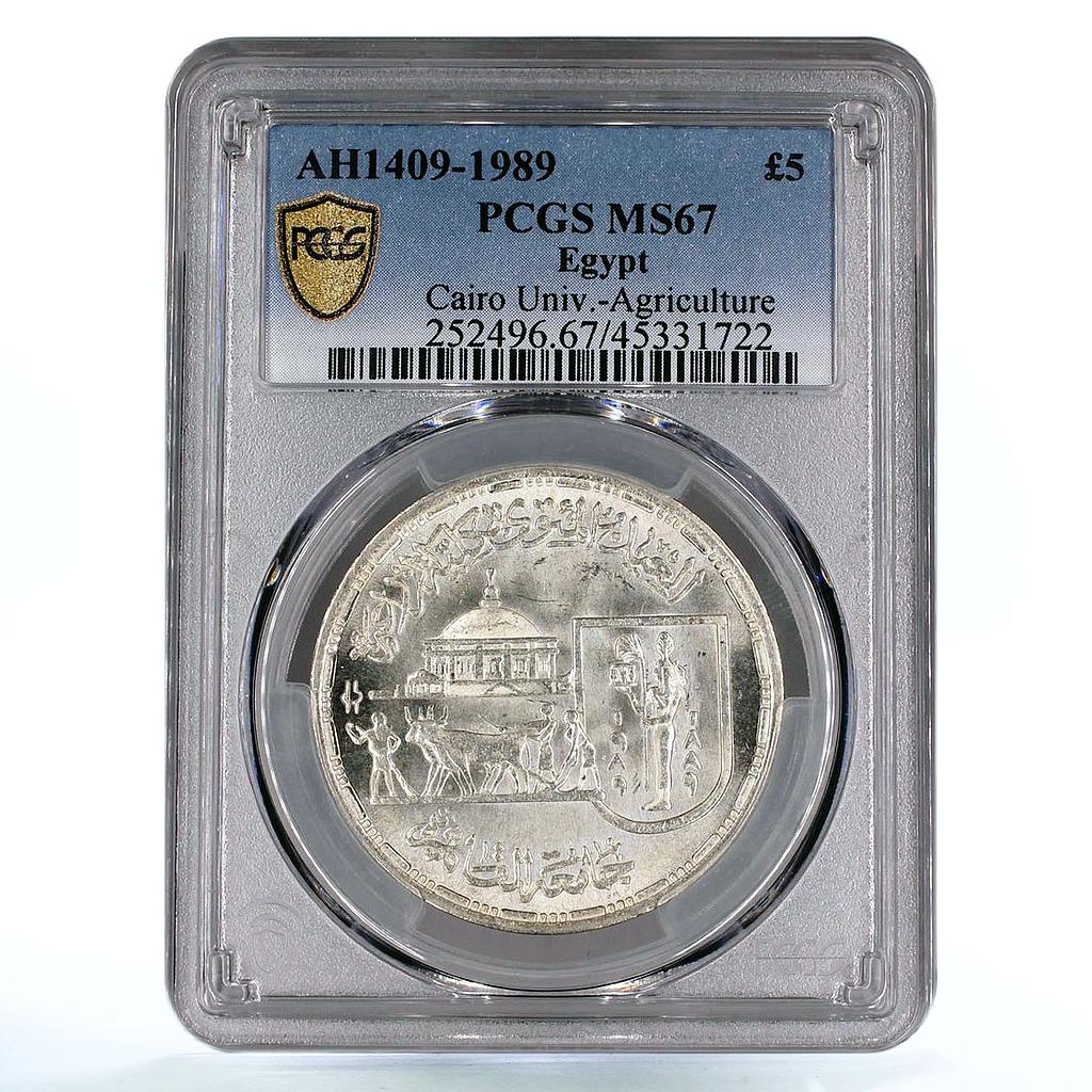 Egypt 5 pounds Cairo Agriculture University Worker Ox MS67 PCGS silver coin 1989