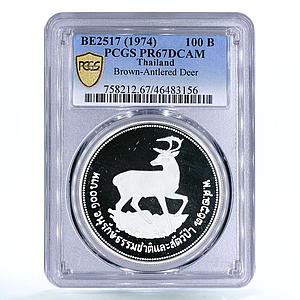 Thailand 100 baht Endangered Wildlife Deer Fauna PR67 PCGS silver coin 1974