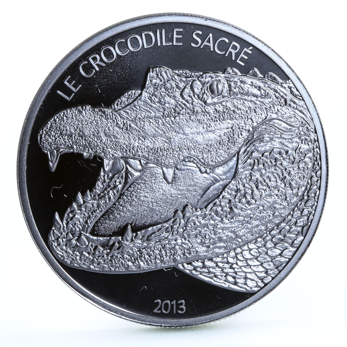 Burkina Faso 1000 francs Holy Crocodile Sacre in Dark Datina silver coin 2013