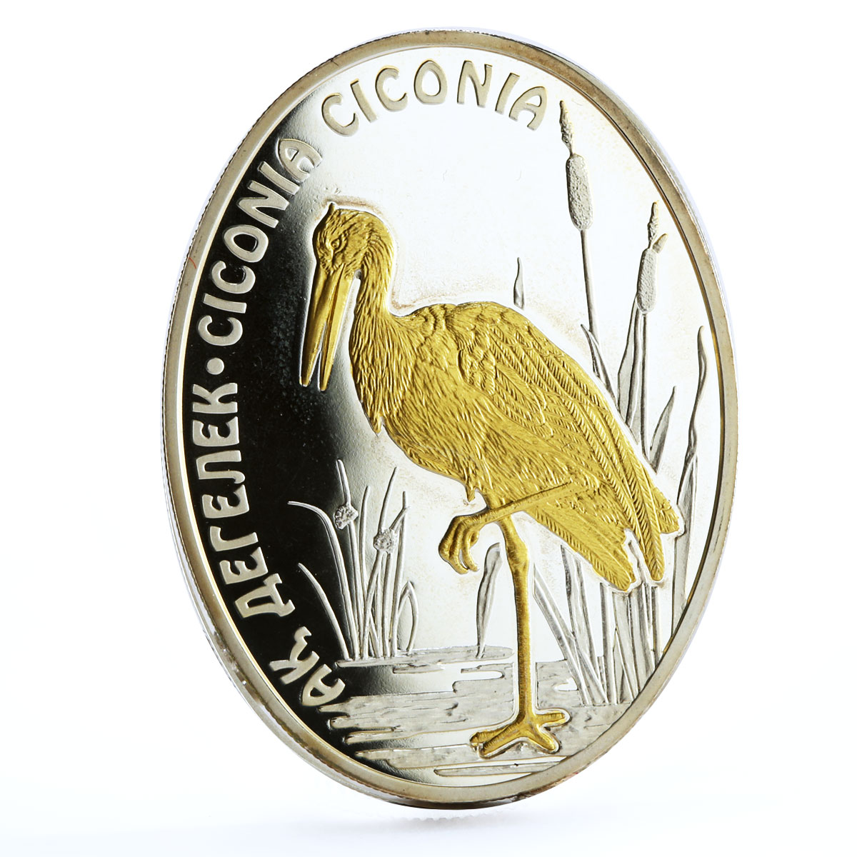 Kazakhstan 100 tenge Endangered Wildlife White Stork Bird Fauna silver coin 2012