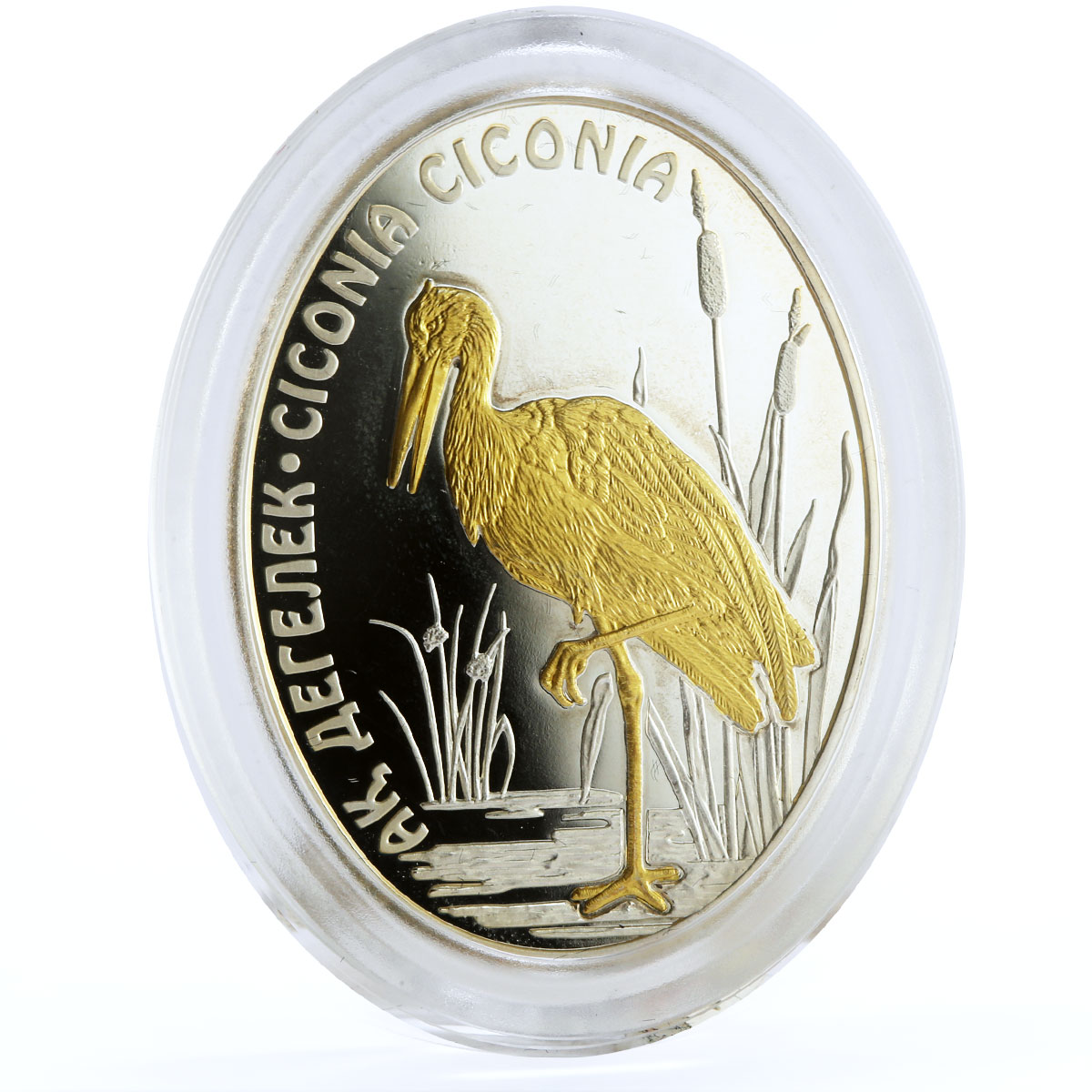 Kazakhstan 100 tenge Endangered Wildlife White Stork Bird Fauna silver coin 2012