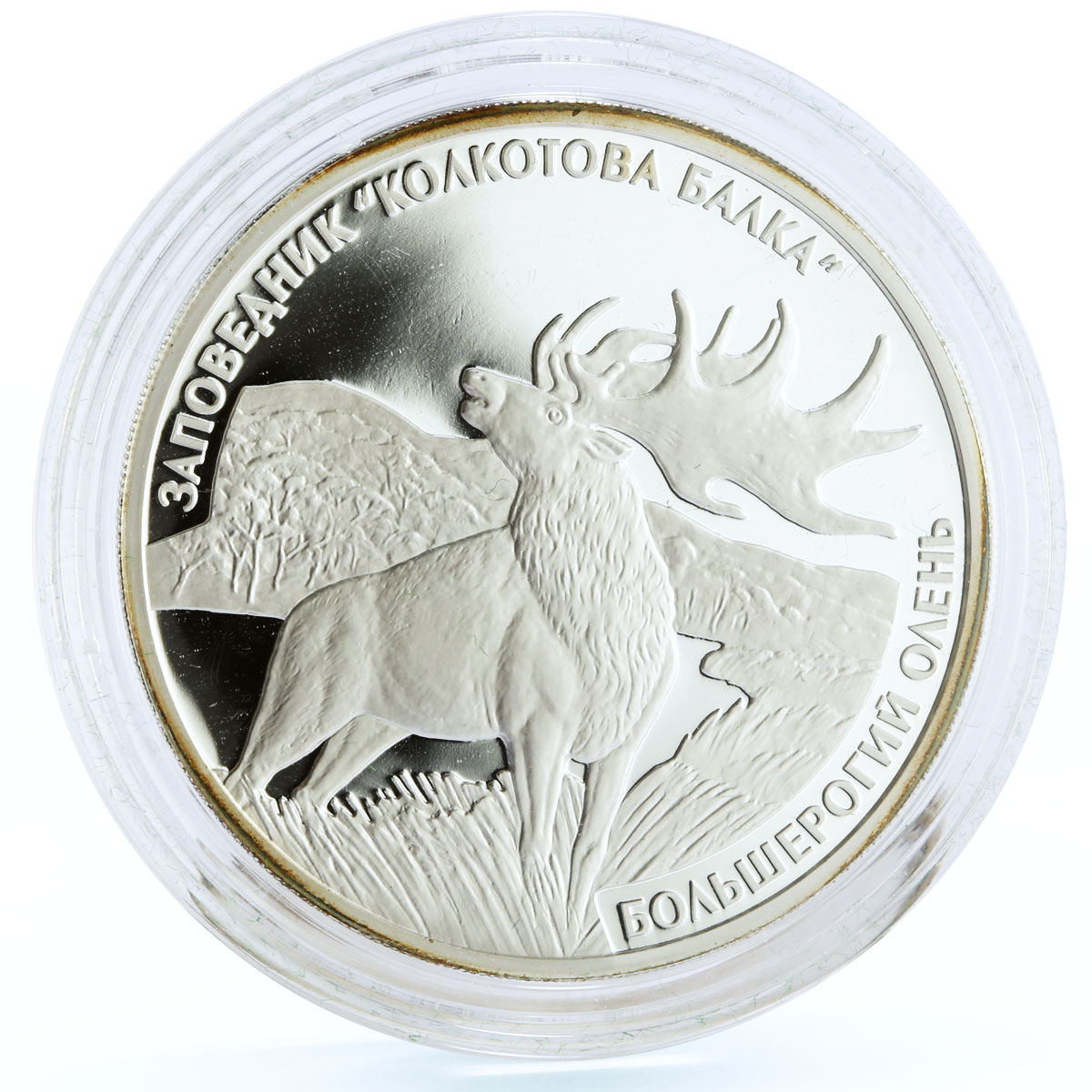 Transnistria 5 rubles Kolkotov Reserve Big Deer Animals Fauna silver coin 2007