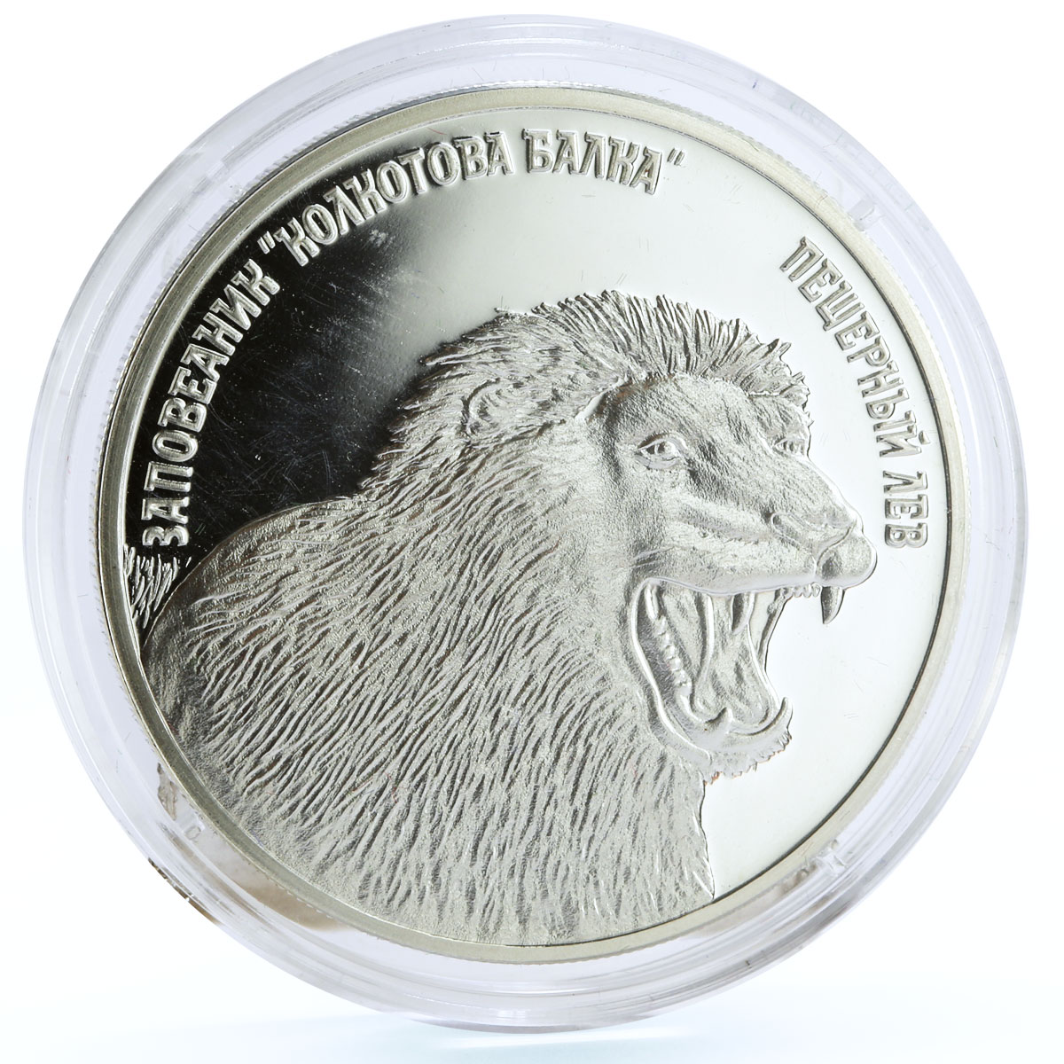 Transnistria 5 rubles Kolkotov Reserve Cave Lion Animals Fauna silver coin 2008