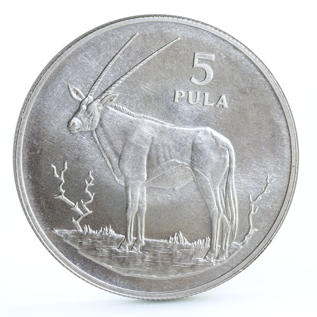 Botswana 5 pula Endangered Wildlife Gemsbok Animals Fauna silver coin 1978