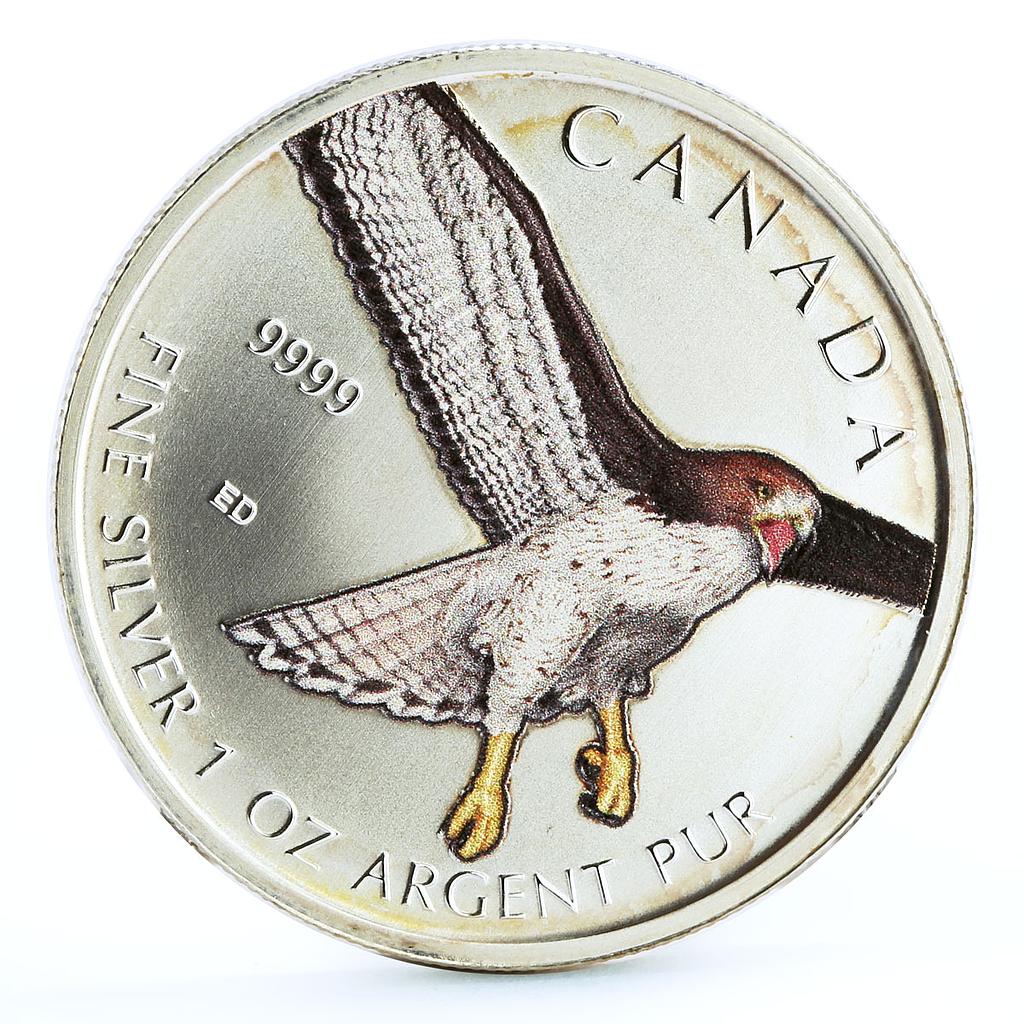 Canada 5 dollars Endangered Wildlife Red Tailed Hawk Bird colored Ag coin 2015