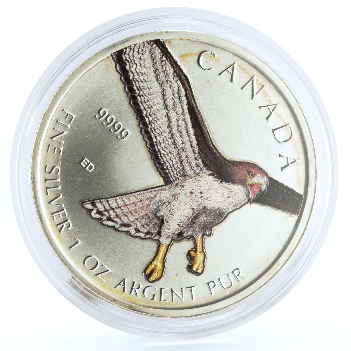 Canada 5 dollars Endangered Wildlife Red Tailed Hawk Bird colored Ag coin 2015