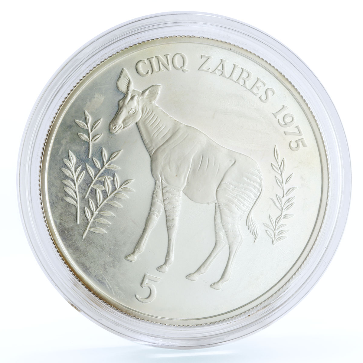 Zaire 500 zaires Endangered Wildlife Okapi Animals Fauna proof silver coin 1975